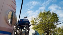 -萌宠亲子动物乐园(槐房万达店)