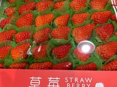 -麦德龙上海闵行商场-停车场