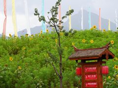 -丽江千古情