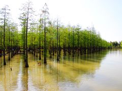-泗洪洪泽湖湿地景区