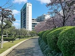 -上海大学(宝山校区)