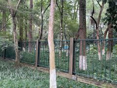 -灵隐飞来峰景区