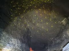 -地心探险极地
