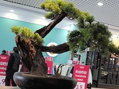 -呷哺呷哺 小火锅 (浦东新欧尚超市店)