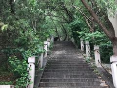 -北京凤凰岭