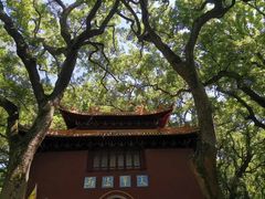 -普陀山风景名胜区-法雨禅寺