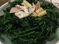 上汤桑叶-拾叁唐Livehouse(佛山禅城店)