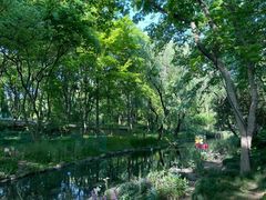 -上海共青森林公园