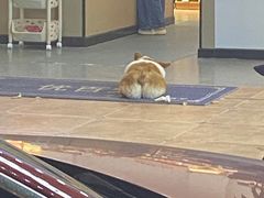 -东街钟楼肉粽(总店)