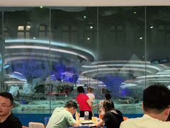 -帝企鹅自助餐厅•儿童岛•真企鹅(长隆企鹅酒店)