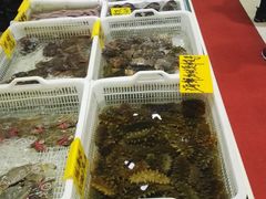 -老虎滩船说·海胆水饺·大连海鲜(老虎滩店)