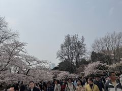 -青岛海滨风景区