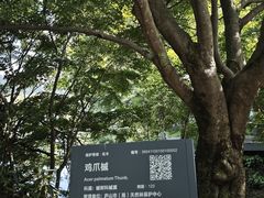 -庐山风景区花径公园