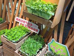 -番食园鲜食火锅(高新店)