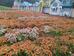 -松山湖梦幻百花洲