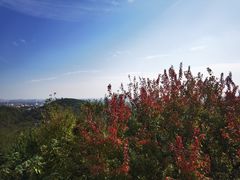 -上海佘山国家森林公园西佘山园