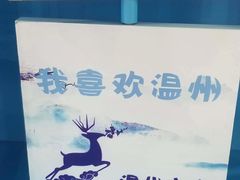 -温州龙湾国际机场