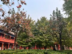 -北京石刻艺术博物馆(五塔寺)