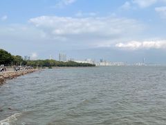 -深圳湾公园(南山区)