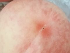 -学习谷日语培训日本留学·多语种外语教学(海淀人大分部)