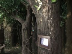 -中国杭州低碳科技馆