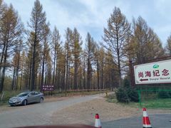 -塞罕坝国家级自然保护区