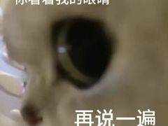 -汉巴味德(沈阳万象汇店)