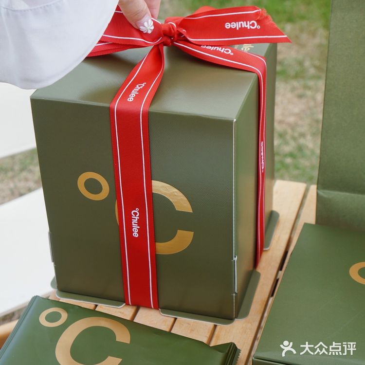 致敬地球🌍安佳奶油联名款森林与荒漠蛋糕🎂