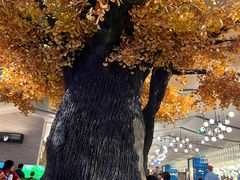 -青水瓦台汤泉(未央店)