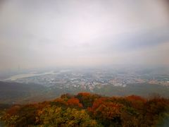 -紫金山山顶公园