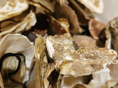 -宾朋海鲜饭庄(兴海路店)