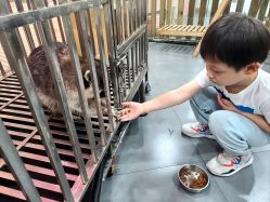 -Moni星球萌宠·小马宝莉·灵蛇·高端高阶全萌宠互动体验俱乐部(红豆国际广场店)