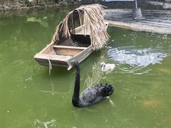 -青青世界