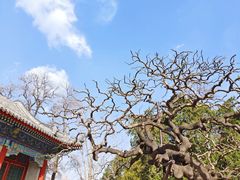 -颐和园