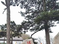 -妙峰山风景名胜区
