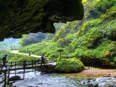 -明仕田园
