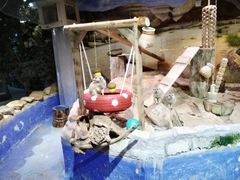 -正佳雨林生态植物园