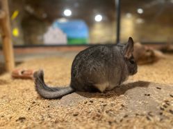 -酷嗒动物文化乐园(cutezoo西溪乐天城店)