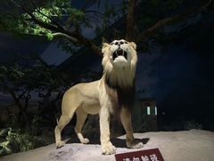 -天津自然博物馆