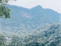 -青城山