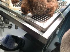 -瑞派宠物医院(锦江店)