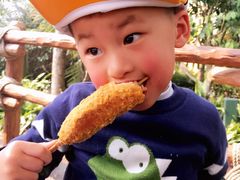 餐饮设施-上海迪士尼度假区