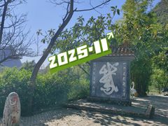 -靖西鹅泉风景区
