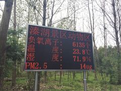 -溱湖国家湿地公园