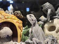 -太平洋海底世界