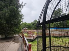 -保定市动物园