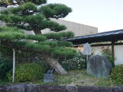 -南紀白浜 浜千鳥の湯 海舟