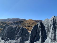 -老字号怡玺·藿香雅鱼(20年雅安店)