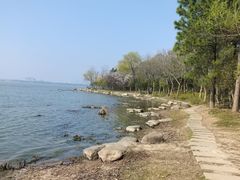-长广溪湿地公园