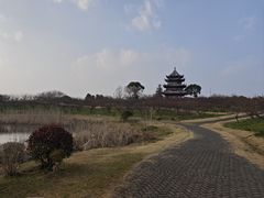 -上海海湾国家森林公园